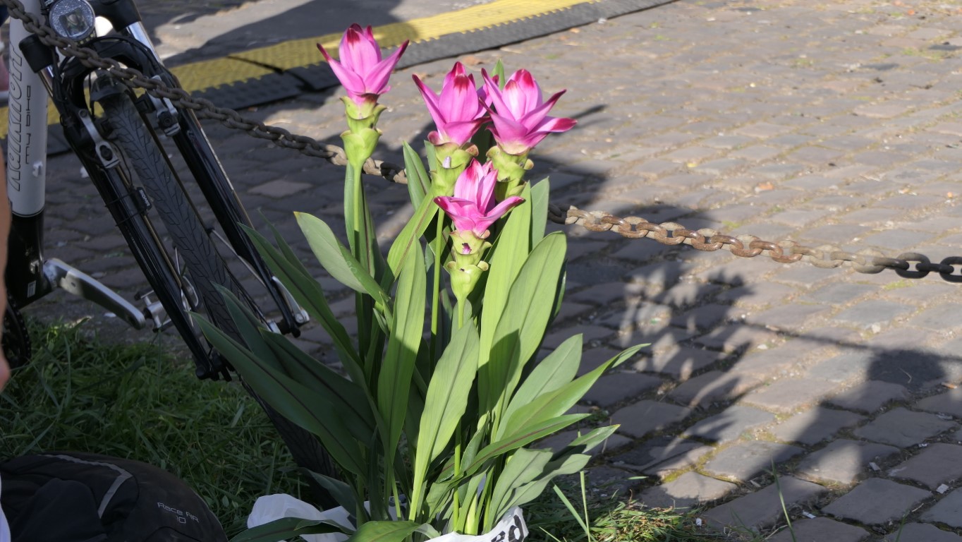 %Elli and friends band düsseldorf%